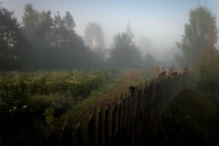 Главная